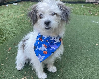 Tiburones de Halloween sobre el collar Bandana para perros