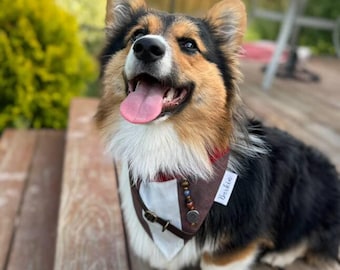 May include: A tricolor Corgi dog wearing a brown and white fabric bandana with a small leather strap, decorative beads, and a white tag featuring the name Barkin. The dog has a fluffy coat, pointed ears, and an open mouth with its tongue out.