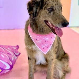 C’est mon BARKDAY! Rose et bleu sur le collier Chien Bandana