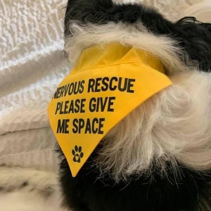 Nervous Rescue Over the Collar Dog Bandana
