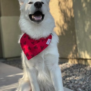 CUSTOM Red Mickey Mouse Over the Collar Dog Bandana