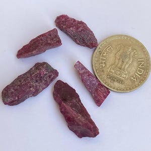 May include: Five rough, pink ruby crystals, some with a darker red hue, are arranged on a white surface. A single Indian coin is included for scale.