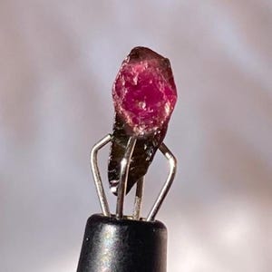 May include: A raw, uncut gemstone with a vibrant pink hue, held by a silver metal instrument with a black handle. The gemstone's surface has a rough texture, and the lighting highlights its natural color variations.