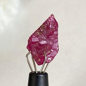 以下が含まれることがあります： 金属製のスタンドで保持された、未加工のルビーの宝石。 ルビーは、ざらざらした質感の表面を持つ、深く鮮やかな赤色をしています。 宝石は不規則な形状で、わずかに半透明に見えます。