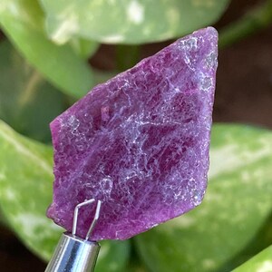 May include: A rough, purple, and white gemstone with a natural, irregular shape. The gemstone is held by a pair of tweezers.