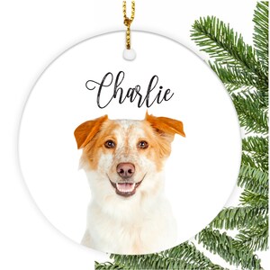 Personalized Pet Ornament, Using Pet&#39;s Photo and Name, Personalized Dog Ornament, Custom pet Ornament, Pet loss, Pet Memorial Christmas Gift