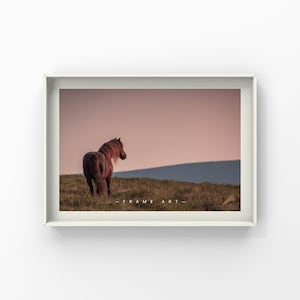 Dartmoor Photographic Print