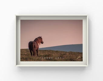 Dartmoor Photographic Print