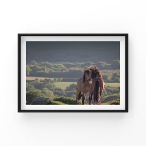 Dartmoor Photographic Print
