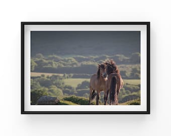 Dartmoor Photographic Print