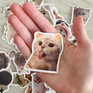 10 - Lot de 60 autocollants chat mignon | autocollant kawaii | autocollant animal | Stickers pour agenda de journalisation | Décoration pour ordinateur portable