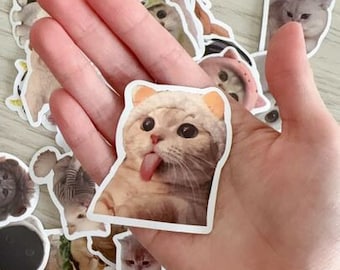 10 - 60 szt. uroczych naklejek z kotami | Naklejki Kawaii | Naklejki ze zwierzętami | Naklejki do pamiętnika | Dekoracja laptopa