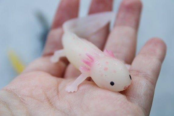 Slime Axolotl, Axolotl, Silicone Axolotl, Squishy, Squishy Animal, Squishy  Stress Toy, Scented Toy, Silicone Doll, Axoluvies, Ajolote -  Finland