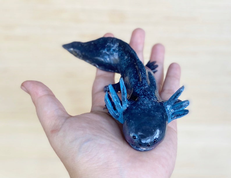 Black Axolotl, Axolotl, Silicone Axolotl, Squishy, Squishy Animal, Scented toy, Squishy Stress Toy, Puppy Pet Play, AxoLuvies, ajolote image 4