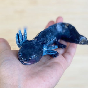 Black Axolotl, Axolotl, Silicone Axolotl, Squishy, Squishy Animal, Scented toy, Squishy Stress Toy, Puppy Pet Play, AxoLuvies, ajolote image 1