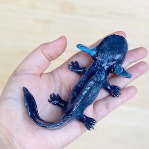 Black Axolotl, Axolotl, Silicone Axolotl, Squishy, Squishy Animal, Scented toy, Squishy Stress Toy, Puppy Pet Play, AxoLuvies, ajolote image 2