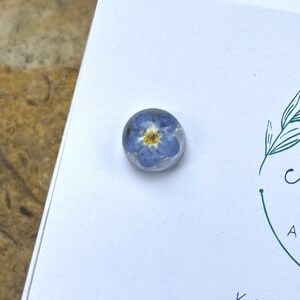 Delicate real blue forget me not stud earrings/ lovely jewelry for gifting