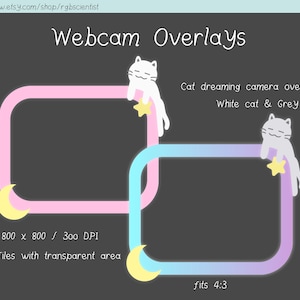 かわいい猫が星を夢見るウェブカメラオーバーレイ