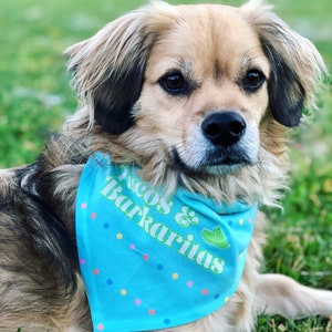 Taco&#39;s en Barkaritas Bandana / Hond Bandana / Huisdier Bandana / Hond Cadeau / Cadeau voor Hondenliefhebber / Cadeau voor Hond Moeder