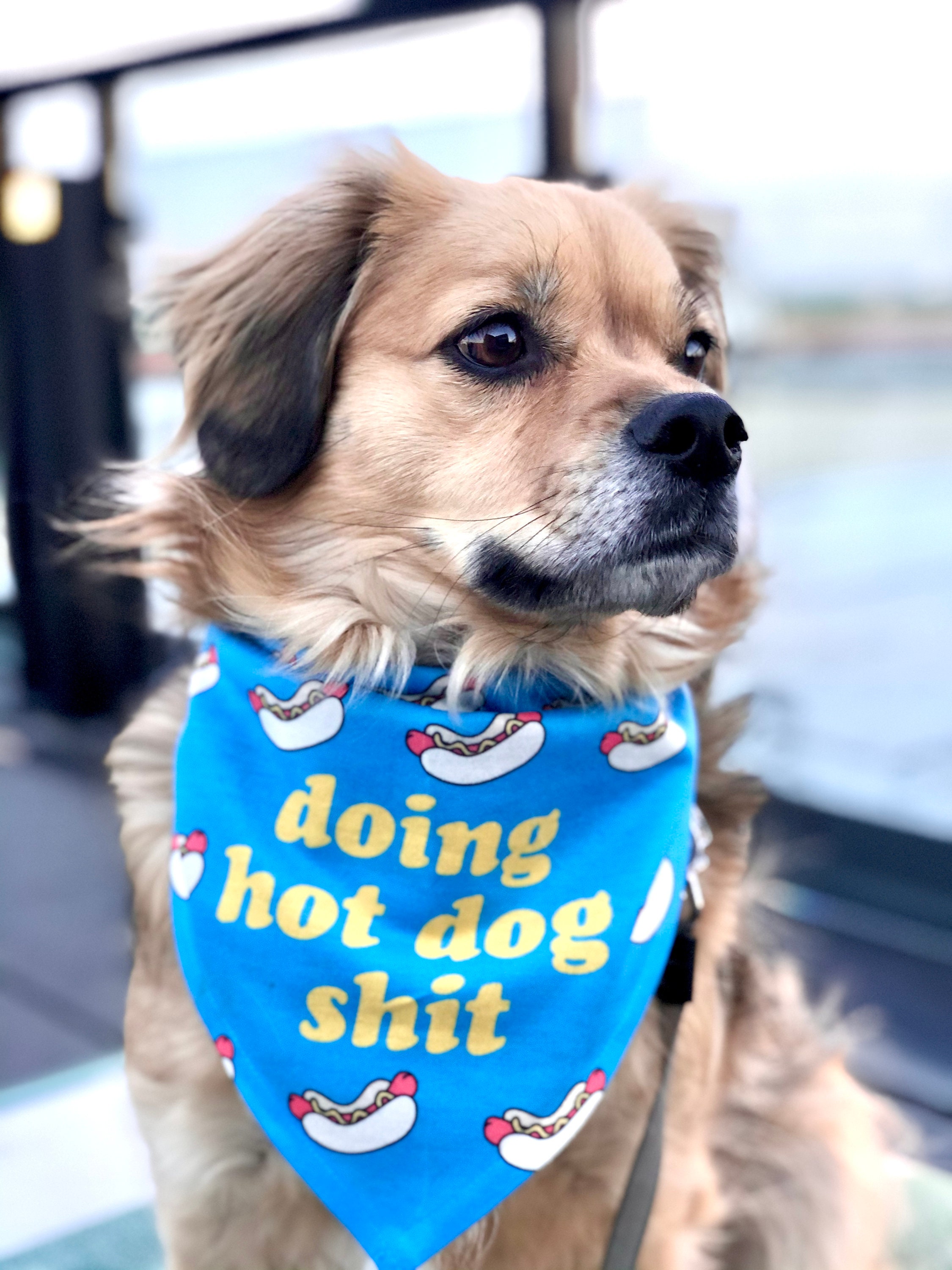 Hot dog bandana hotsell