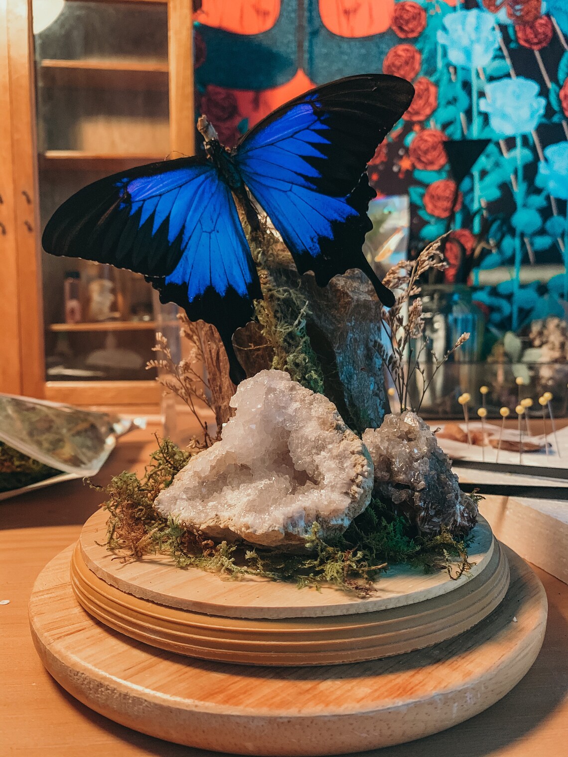 Large Butterfly Terrarium Etsy