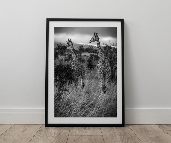 Giraffe Poster Print, Black and White Animal Photography Print, Wildlife Poster, Travel Print, Home Decor Wall Art, Instant Digital Download