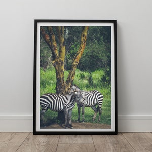 Zebra Poster Print, Animal Photography Digital Print, Wildlife Print, Home Decor Wall Art, Travel Poster, Instant Digital Download