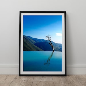 May include: A framed photograph of a lone, dead tree standing in a body of water with a mountain range in the background. The sky is a bright blue and the water is a deep turquoise.
