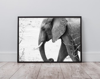 Elephant Wall Art, Wildlife Print, Safari Print, Animal Poster, Black and White Print, Instant Digital Download