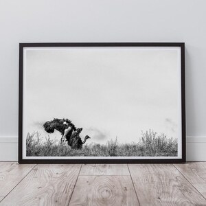 Ostrich Wall Art, Black and White Landscape Print, Travel Print, Bird Print, Wildlife Print, Home Decor, Instant Digital Download