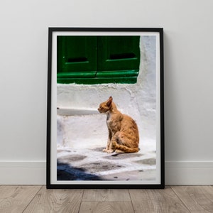 Cat Wall Art Print, Cat Print, Ginger Cat, Cat Poster, Instant Digital Download