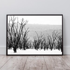 Lake Poster Print Black and White Landscape Photography Digital Print, Water Wall Art, Home Decor Wall Art, Instant Digital Download