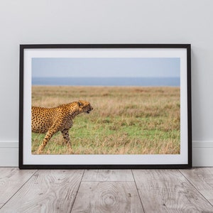 Cheetah Print, Wildlife Art, Animal Prints, Safari Prints, Travel Poster, Instant Digital Download