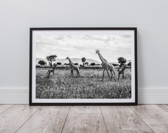 Giraffe Poster Print, Black and White Landscape and Animal Photography, Wildlife Wall Art, Digital Wall Art Print, Instant Digital Download