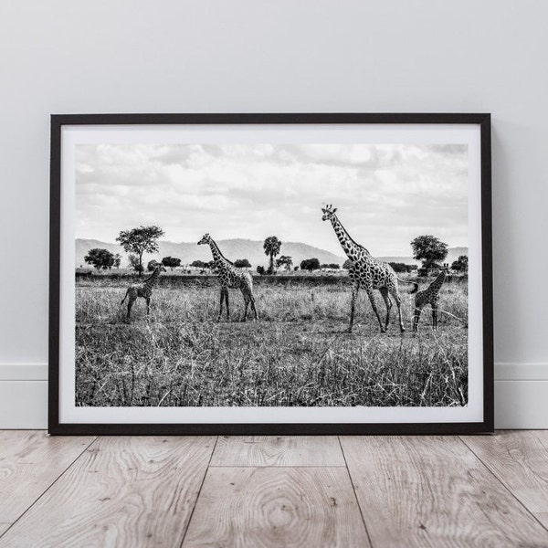 Giraffe Poster Print, Black and White Landscape and Animal Photography, Wildlife Wall Art, Digital Wall Art Print, Instant Digital Download