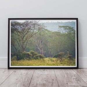 Giraffe Print, Safari Print, Landscape Wall Art, Forest Print, Wildlife Print, Travel Poster, Instant Digital Download