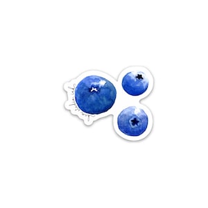 Blueberry Sticker