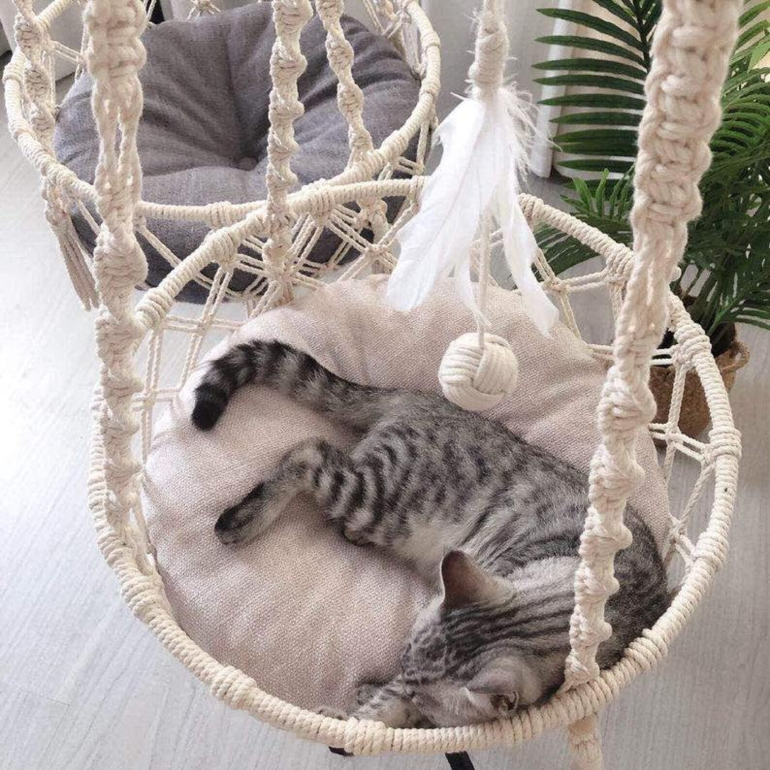 cama para gatos en macrame