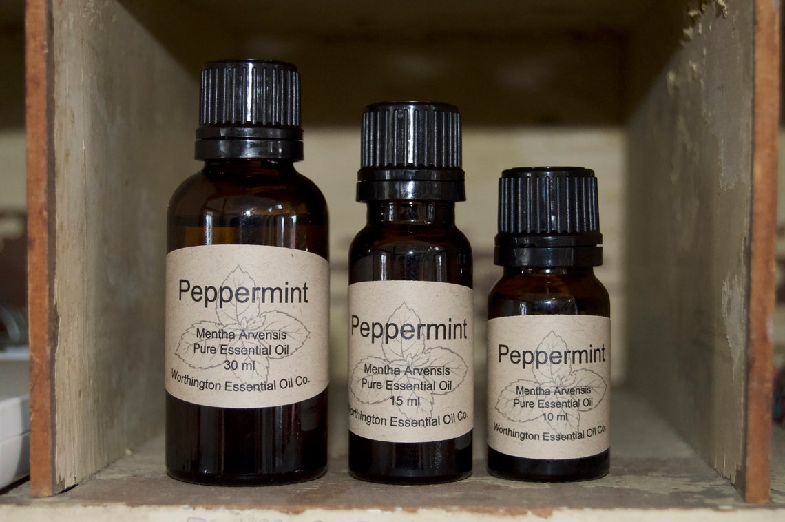 Japanese Peppermint Essential Oil Etsy