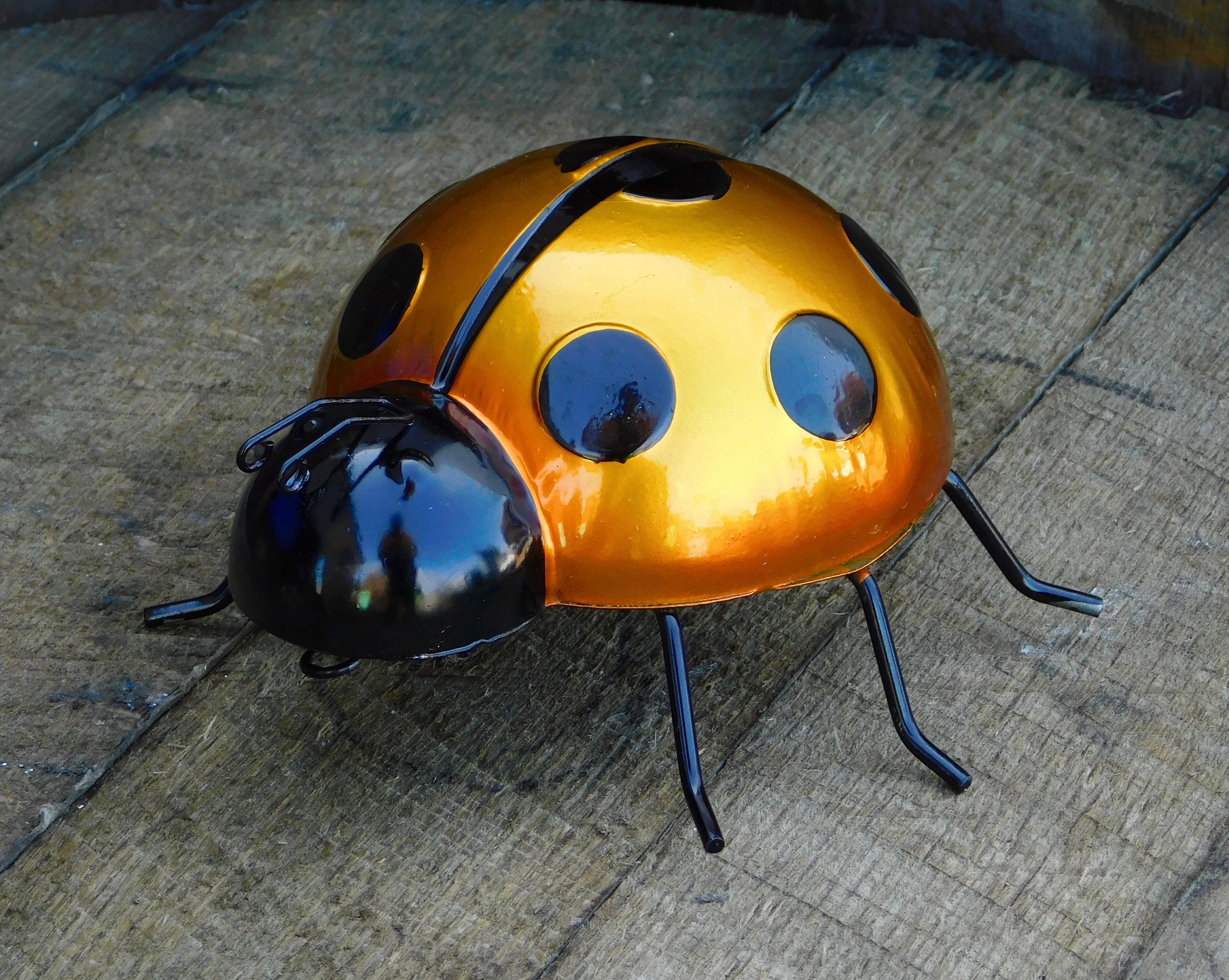 Large Metal Orange Ladybird Garden Wall Art Garden Ornament Etsy