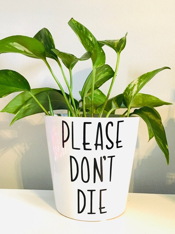 Please dont die planter decal waterproof permanent Etsy