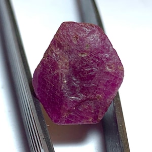 Puede incluir: Una gema de rubí en bruto y sin cortar, sujeta con unas pinzas metálicas. El rubí es de un color rojo-rosado intenso y saturado con una superficie texturizada. El fondo es blanco brillante.