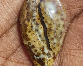AAA QUALITY PETRIFIED Palm Wurzelachat Edelstein natürliche Qualität versteinerte Palmwurzel Achat Edelstein 23ct PearShape Cabochon Edelstein Schmuck