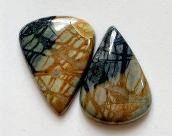Könnte beinhalten: Zwei polierte Edelstein-Cabochons. Einer hat eine abgerundete Form, der andere eine Tropfenform. Beide weisen eine Mischung aus Farben auf, darunter Beige, Grün, Schwarz und Braun, mit einem netzartigen Muster. Die Steine liegen auf einem weißen Hintergrund.