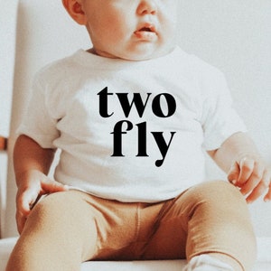 Two Fly Second Birthday Boy Onesie, 2nd Birthday Baby Boy Bodysuit, Cake Smash Outfit, Too Fly Baby Onesie