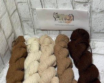 Könnte beinhalten: Vier Knäuel Alpaka-Garn in verschiedenen Brauntönen, von hellem Beige bis Dunkelbraun. Das Garn ist in einer Reihe auf einem weißen Ziegelhintergrund angeordnet. Eine Visitenkarte mit dem Text "C & F Ranch Llama Alpaca Life llamaalpacalife.com" ist im Hintergrund sichtbar.