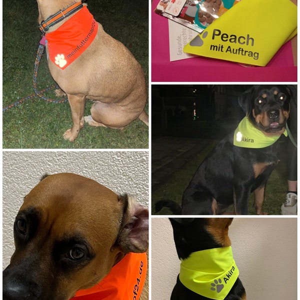 Hundehalstuch, Signalhalstuch, Halstuch, Bandana, reflektierend, personalisiert, zum wenden