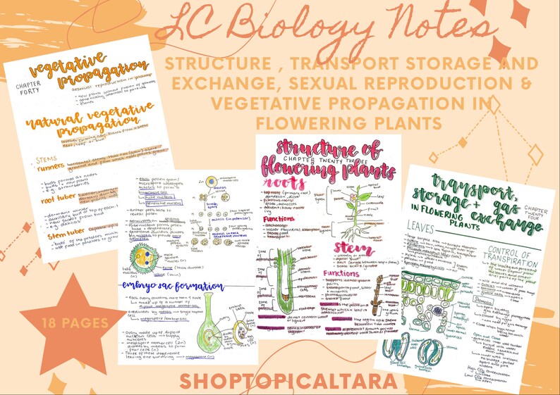 Leaving Cert Biology Notes the Plant Bundle Etsy