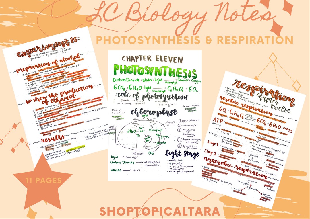 Leaving Cert Biology Notes Photosynthesis & Respiration (Download Now