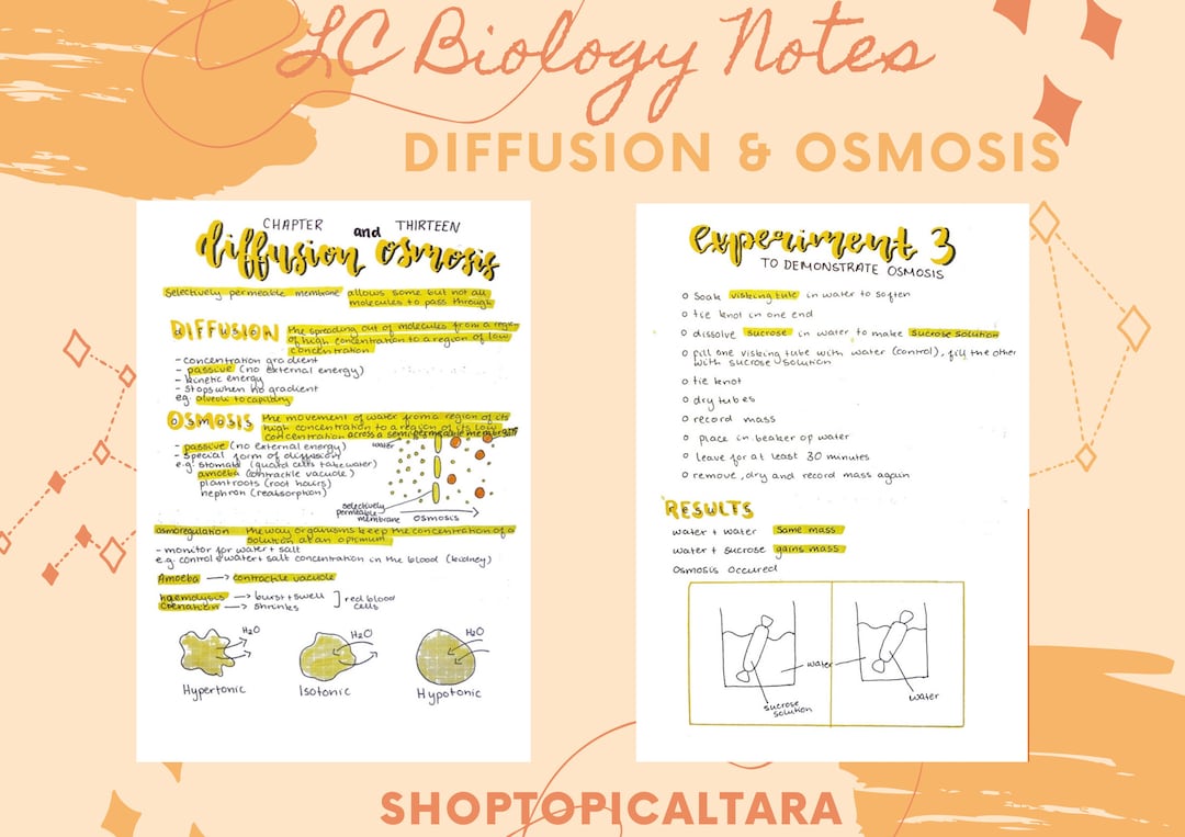 Leaving Cert Biology Notes Diffusion & Osmosis Etsy